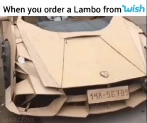 got your lambo