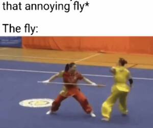 ninja training