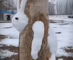 bunny in the tree