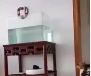 come on in the water is warm