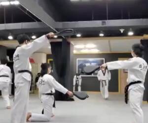 awesome ninja kicks