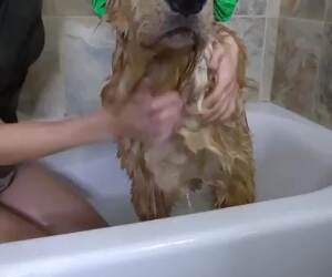 good boy showing how to bath