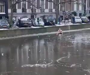 meanwhile in amsterdam