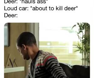 deer in a nutshell