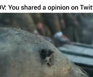 sharing your opinion on twitter