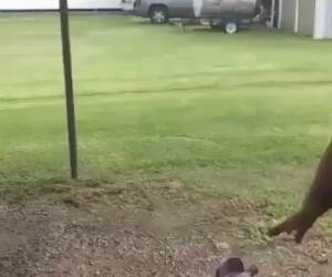 taking it for a ride