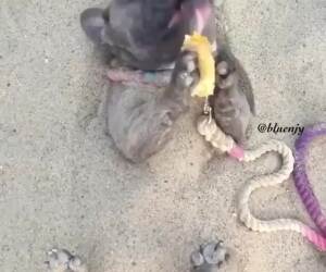 nommmm nom nom nom07 21