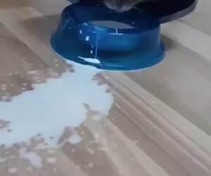 splashing the milks
