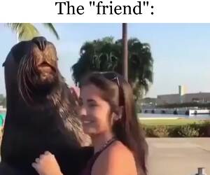 the friend