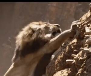 the perfect live action