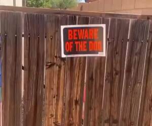 beware of the dog09 21