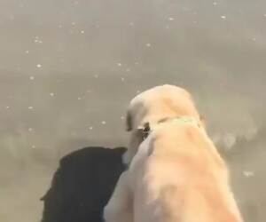 get away from me water