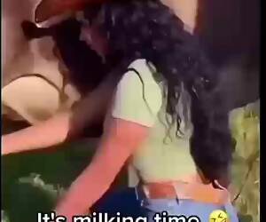 milking time