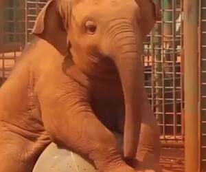 round and round i go05 24