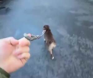 hey get back here01 26