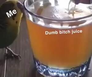 why do i drink so much