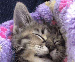 Having the sweetest dreams ever