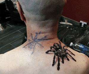 Pretty awesome spider tatttoo