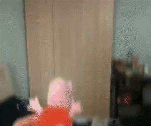 awesome cat playing some fetch