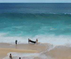 dedicated to get the perfect photo