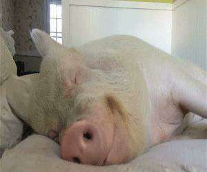 dreaming of wonderful things