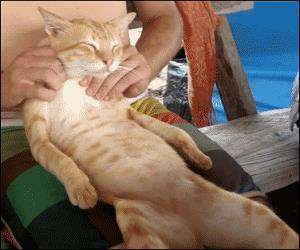 getting a massage