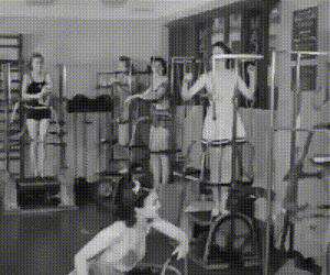 girls in the gym