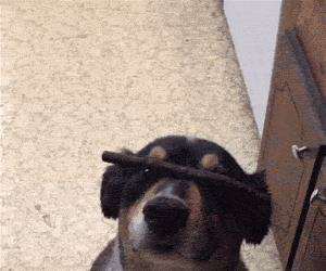 hey thanks for holding that