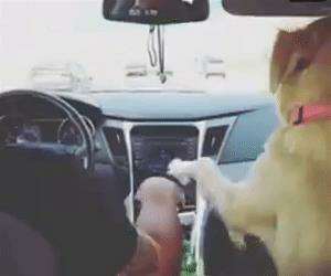 hold my hand please44