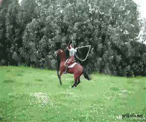 horse jump rope