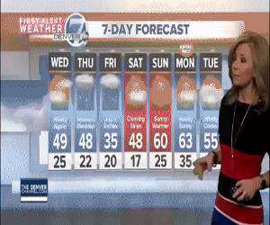 how is the bird today