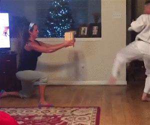 ninja kick