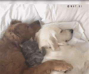 sleeping with my buddies