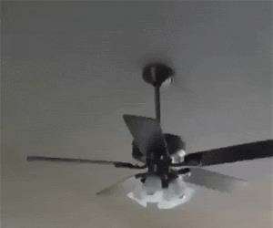 something is not right here