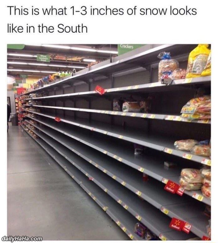 1 to 3 inches of snow in the south funny picture