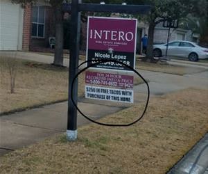 250 dollars in free tacos funny picture