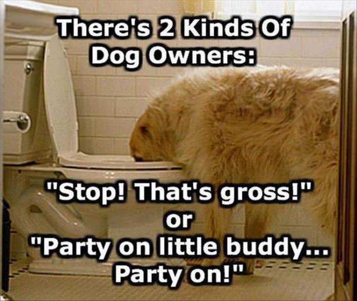 2 kinds of dog owners funny picture