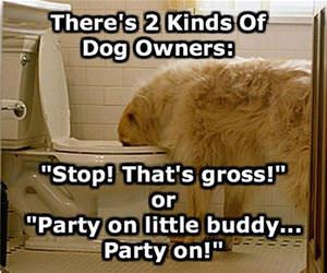 2 kinds of dog owners funny picture