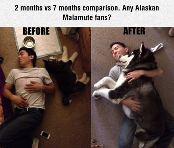 2 months vs 7 months funny picture