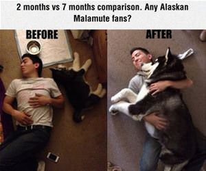 2 months vs 7 months funny picture