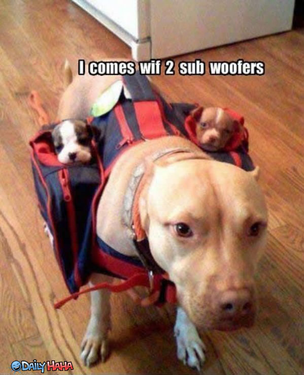 Two Sub Woofers funny picture