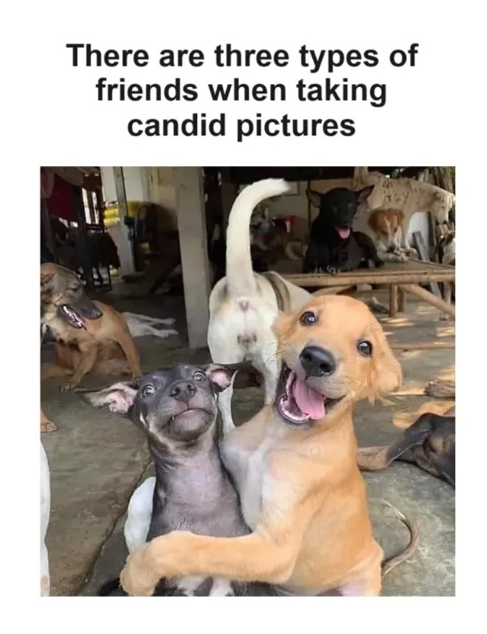 3 types ... 2