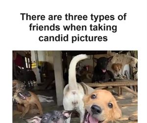 3 types ... 2