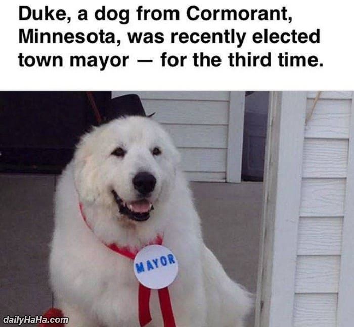 3 time mayor funny picture