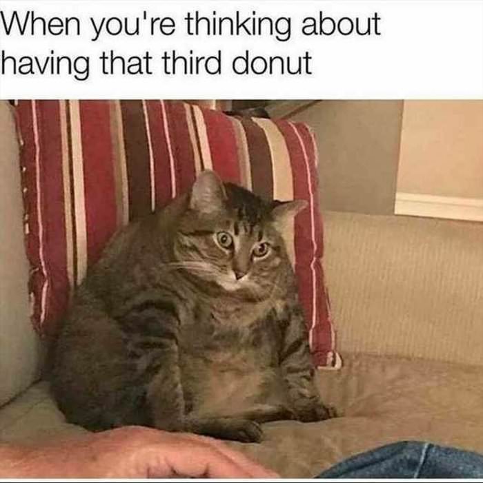 3rd donut