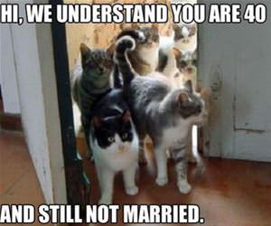 40 and single funny picture