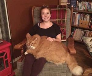 42lbs of love funny picture