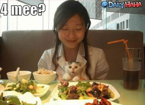 4 meee? Funny Picture
