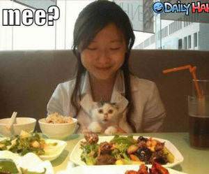 4 meee? Funny Picture