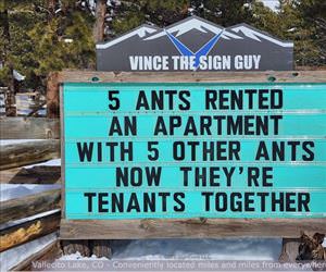 5 ants